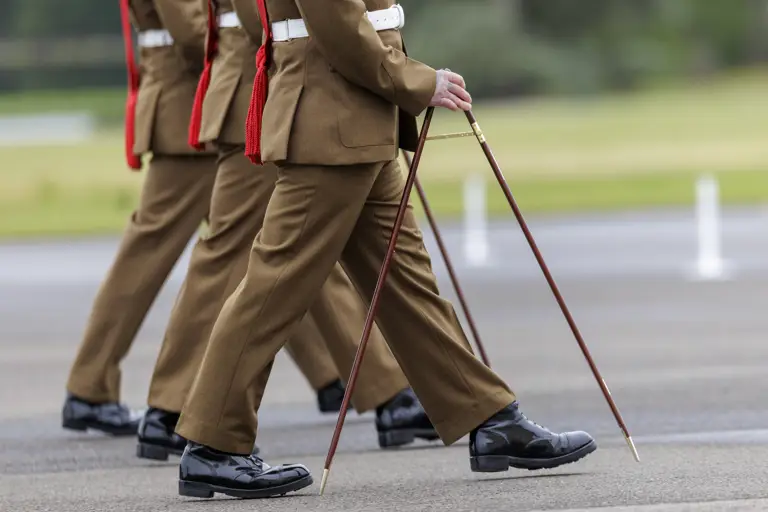 Military personnel in brown uniforms are marching in formation. They hold ceremonial canes, and their black polished shoes are visible. The background shows an outdoor setting with greenery and a blurred view.