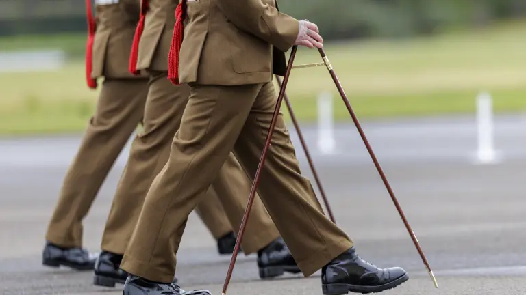 Military personnel in brown uniforms are marching in formation. They hold ceremonial canes, and their black polished shoes are visible. The background shows an outdoor setting with greenery and a blurred view.