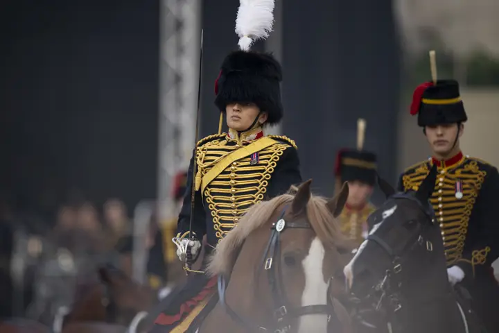 Mounted soldier in ornate black and gold uniform with white plume on tall fur hat during ceremonial event.