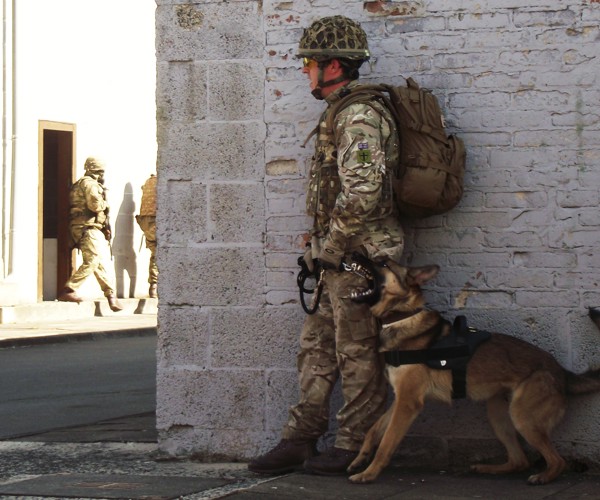 1MWD-PROTECTION.JPG
