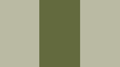 blank.png