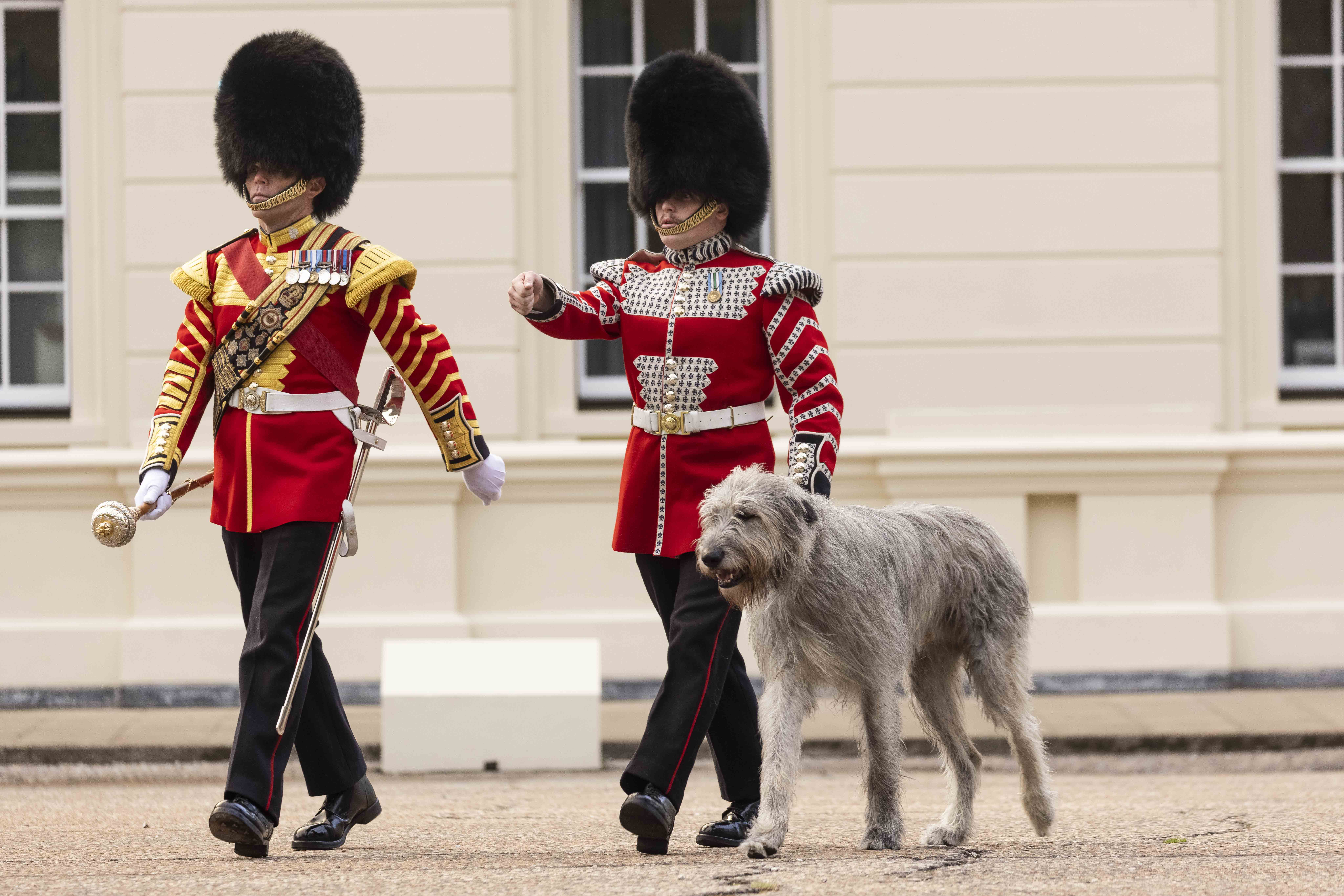 Irish Guards form two new Companies with historic links for future role