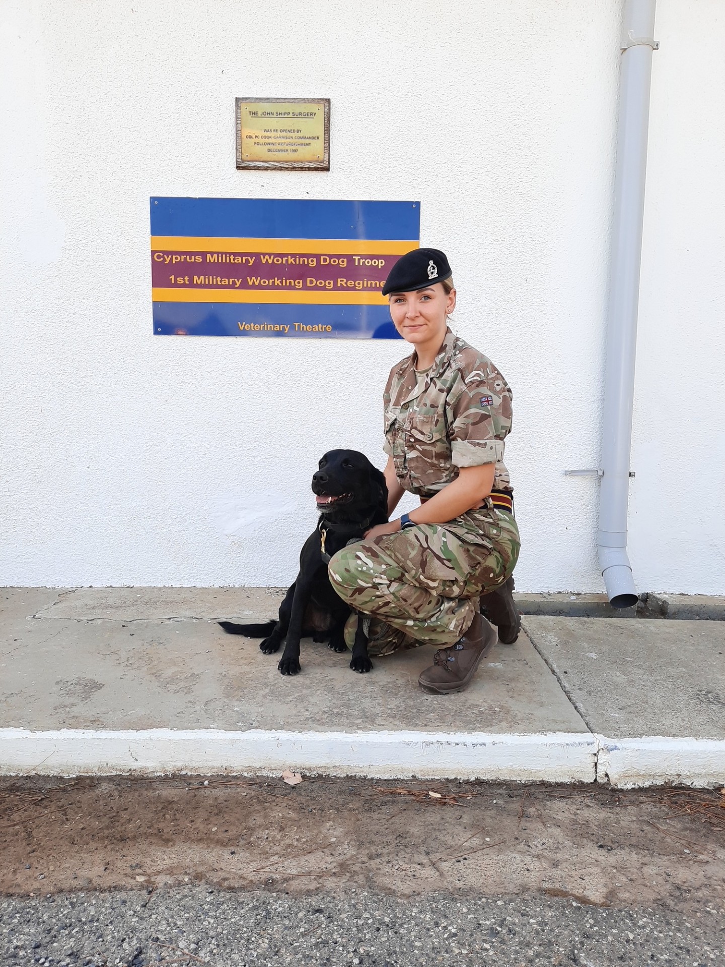A person in military uniform kneels beside a black dog in front of a sign for the Cyprus Military Working Dog Troop. The scene is calm and professional.