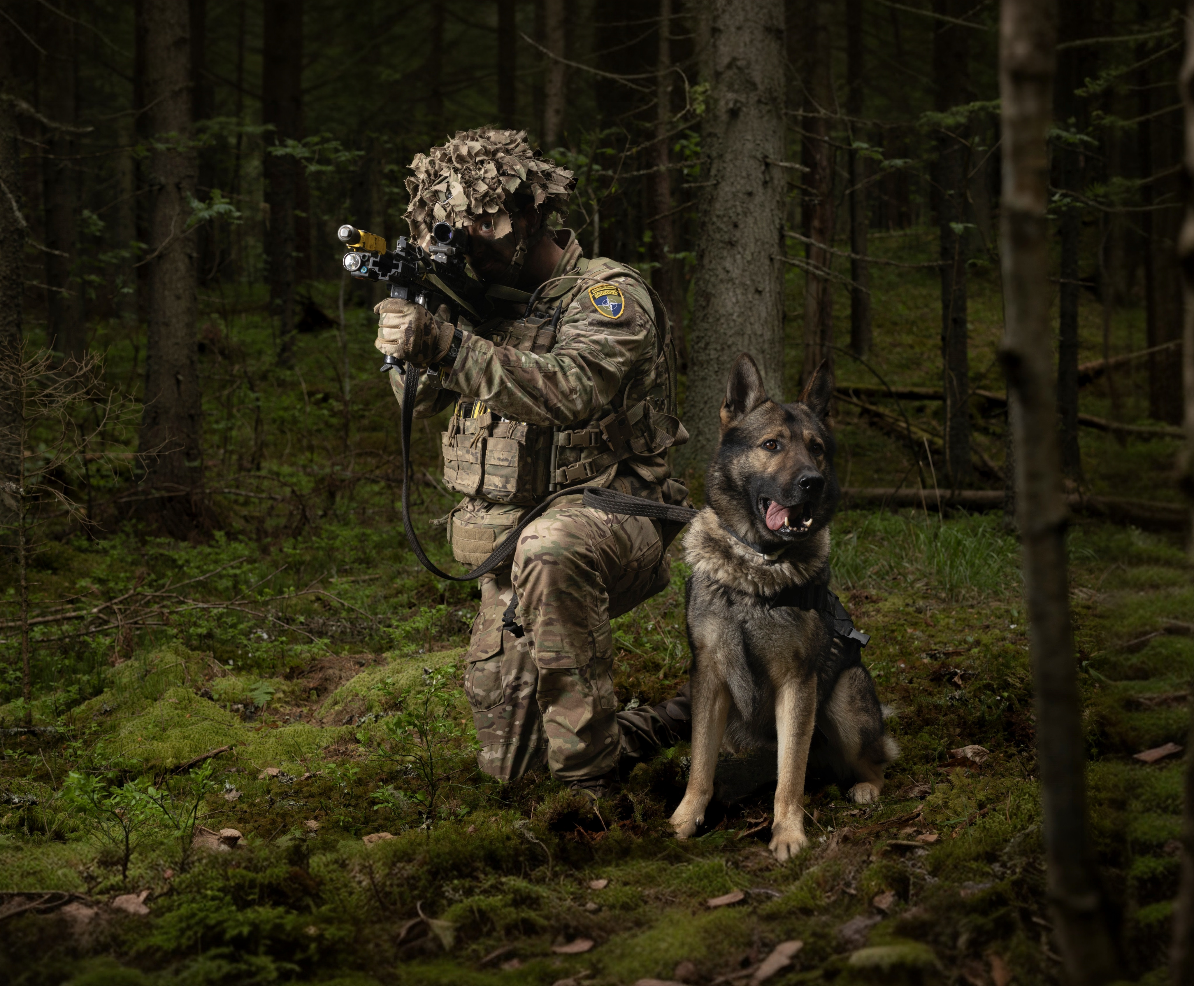 A military dog handler from 104 Military Working Dog Squadron kneels alertly in dense woodland, his weapon raised as he carefully scans the surrounding area. Beside him stands a Czech Shepherd patrol dog, attentive and ready to respond. Attached to its handler by a lead, the Military Working Dog remains close and focused, demonstrating the discipline, trust and strong partnership essential to their patrol duties.  