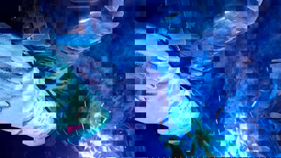 IMG 20220201 WA0005