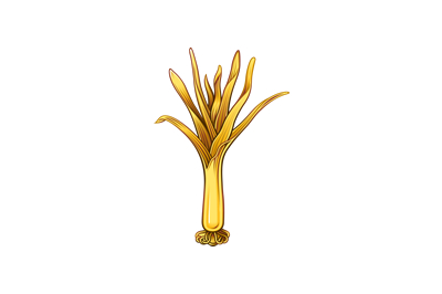 Welsh_Guards_badge_400.jpg