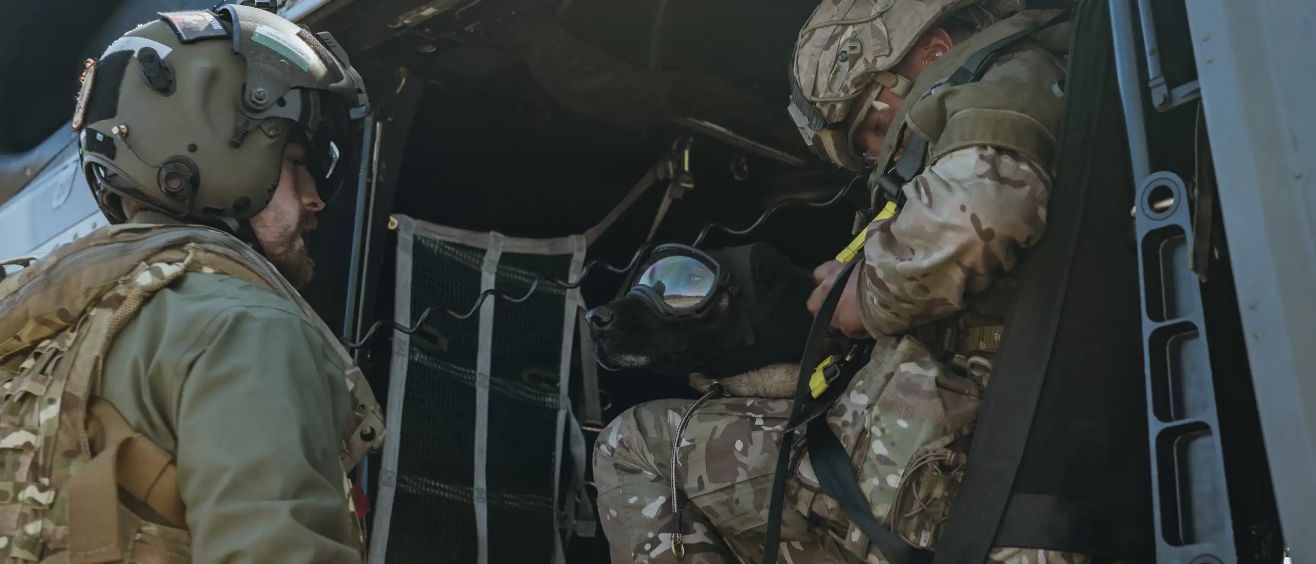 British Army's Canine Soldiers Take to the Skies in NATO Airborne Drills British Army's Canine Soldiers Take to the Skies in NATO Airborne Drills