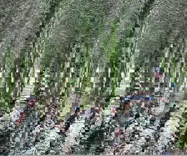 30414894_1559299237547093_1816488532315257711_n.jpg
