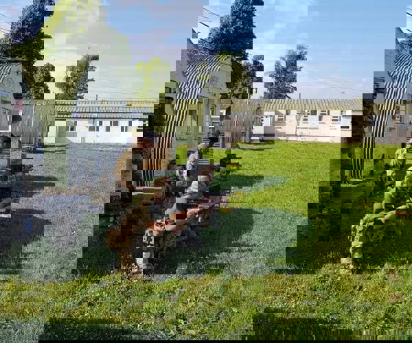 34882886_1068334513317106_4843376160899334144_n.jpg