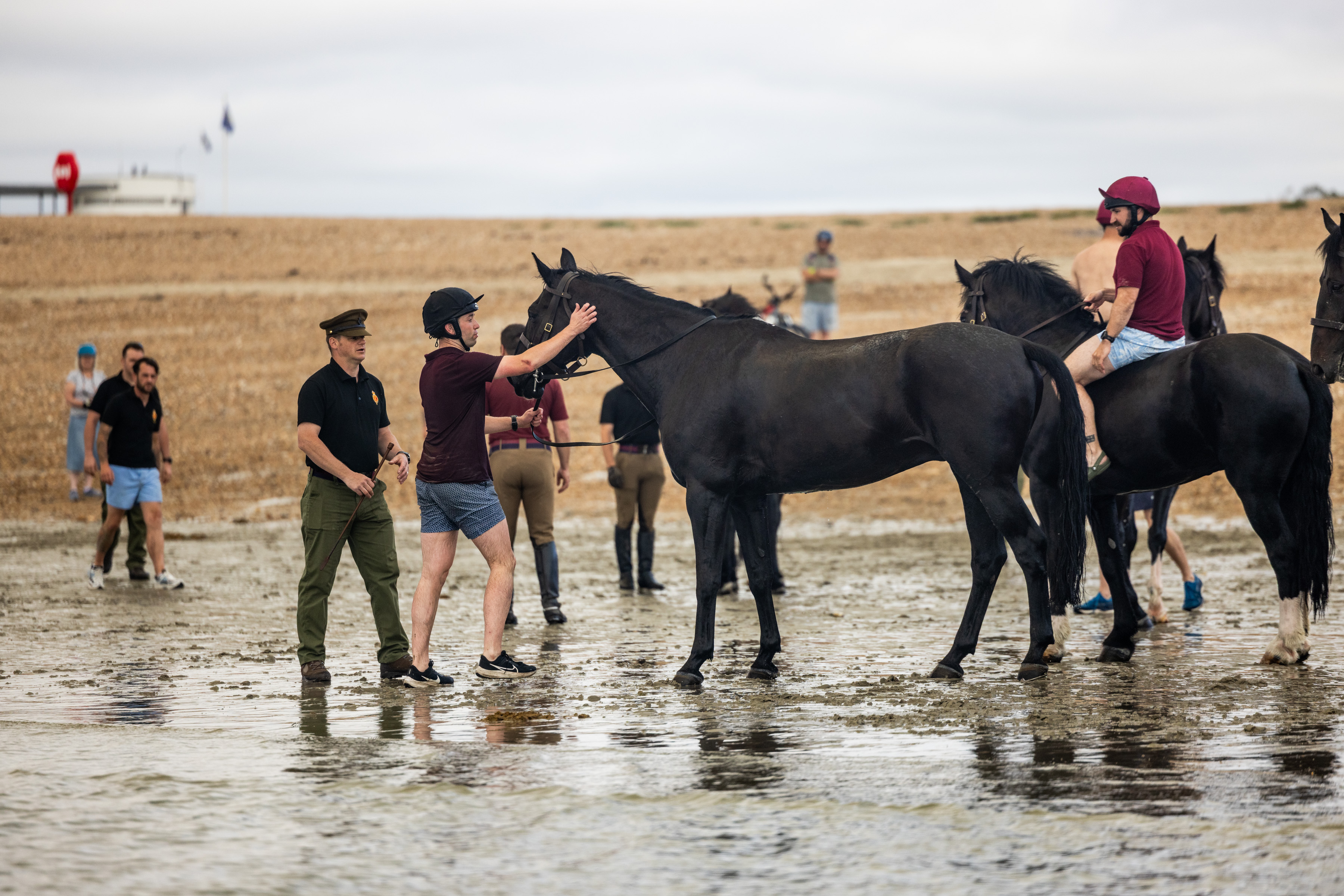 Participants and horses at Laytown Races on a beach, with people preparing horses for a race. The scene includes sandy stretches, shallow water, and a cloudy sky.