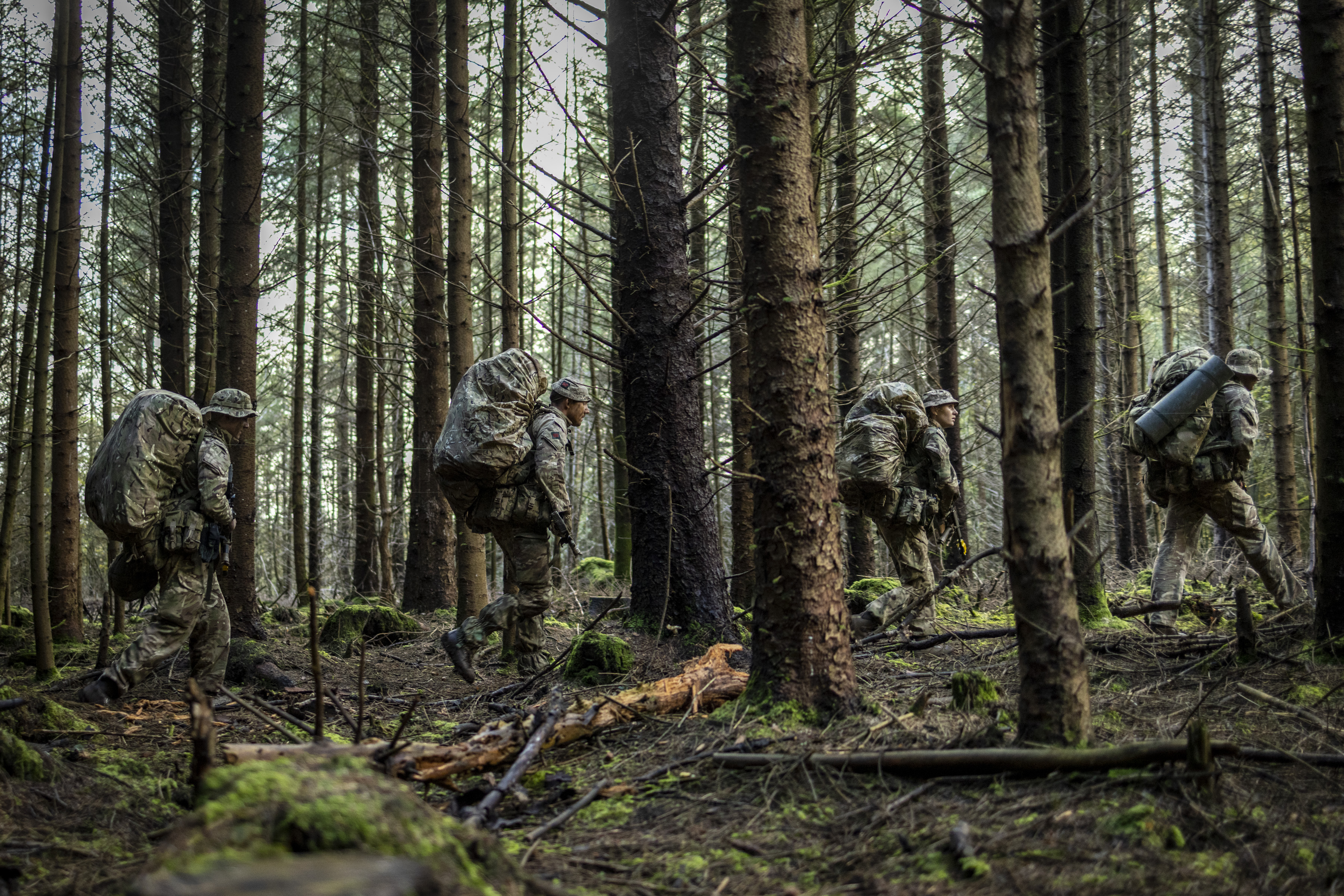 Soldiers in uniform are camouflaged in a woodland area.