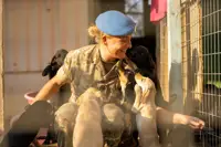A female soldier in uniform and a blue beret is swarmed by several puppies.