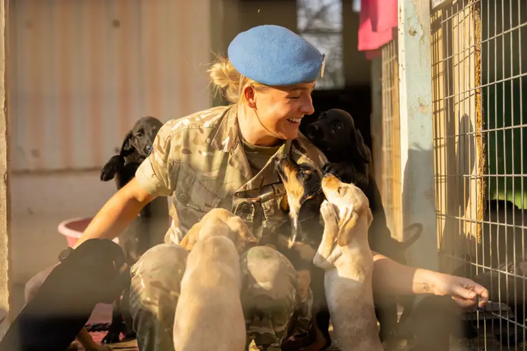 A female soldier in uniform and a blue beret is swarmed by several puppies.