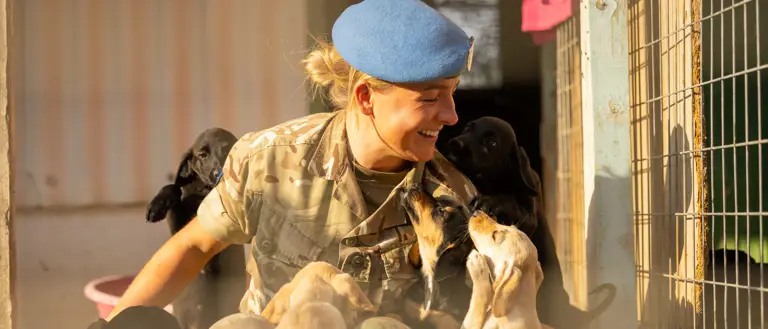 A female soldier in uniform and a blue beret is swarmed by several puppies.