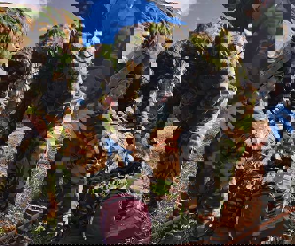 29665265_1977947732238055_4916243002550626492_o.jpg