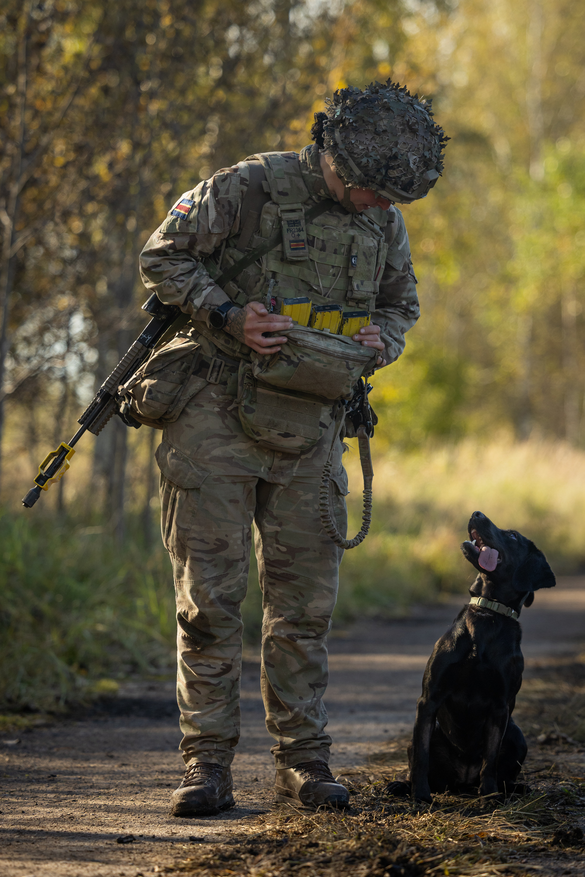 Soldier in camouflage gear interacting with a black dog that is sitting on a forest path during daylight.