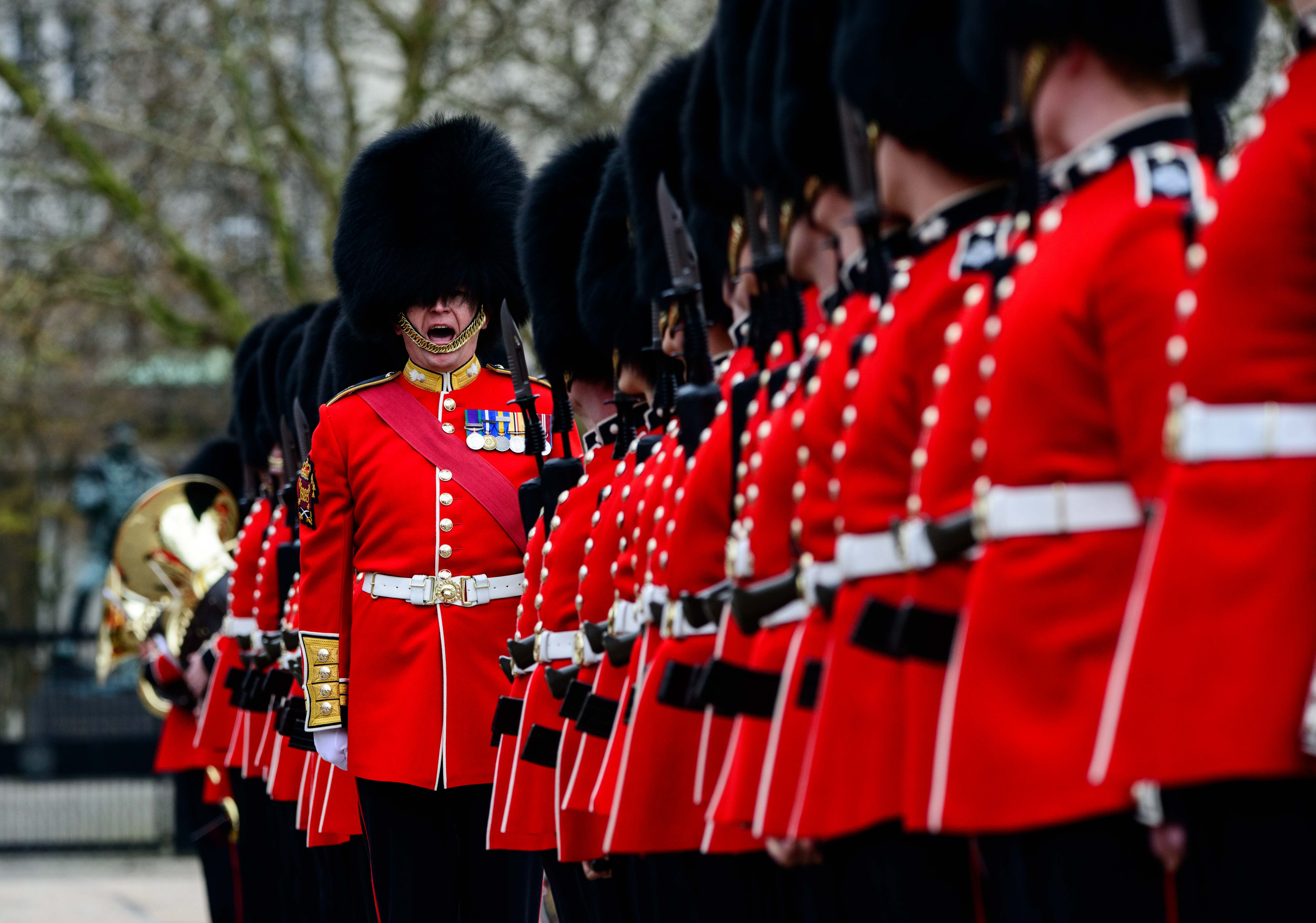 British Army Grenadier Guards At Alyssa Geddes Blog