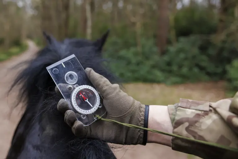 A person in camouflage clothing is holding a compass while riding a horse in a forest.