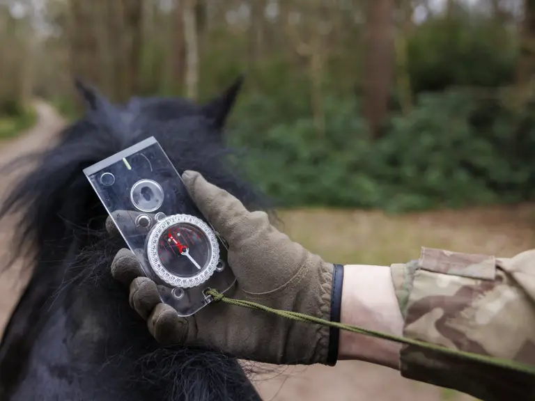 A person in camouflage clothing is holding a compass while riding a horse in a forest.