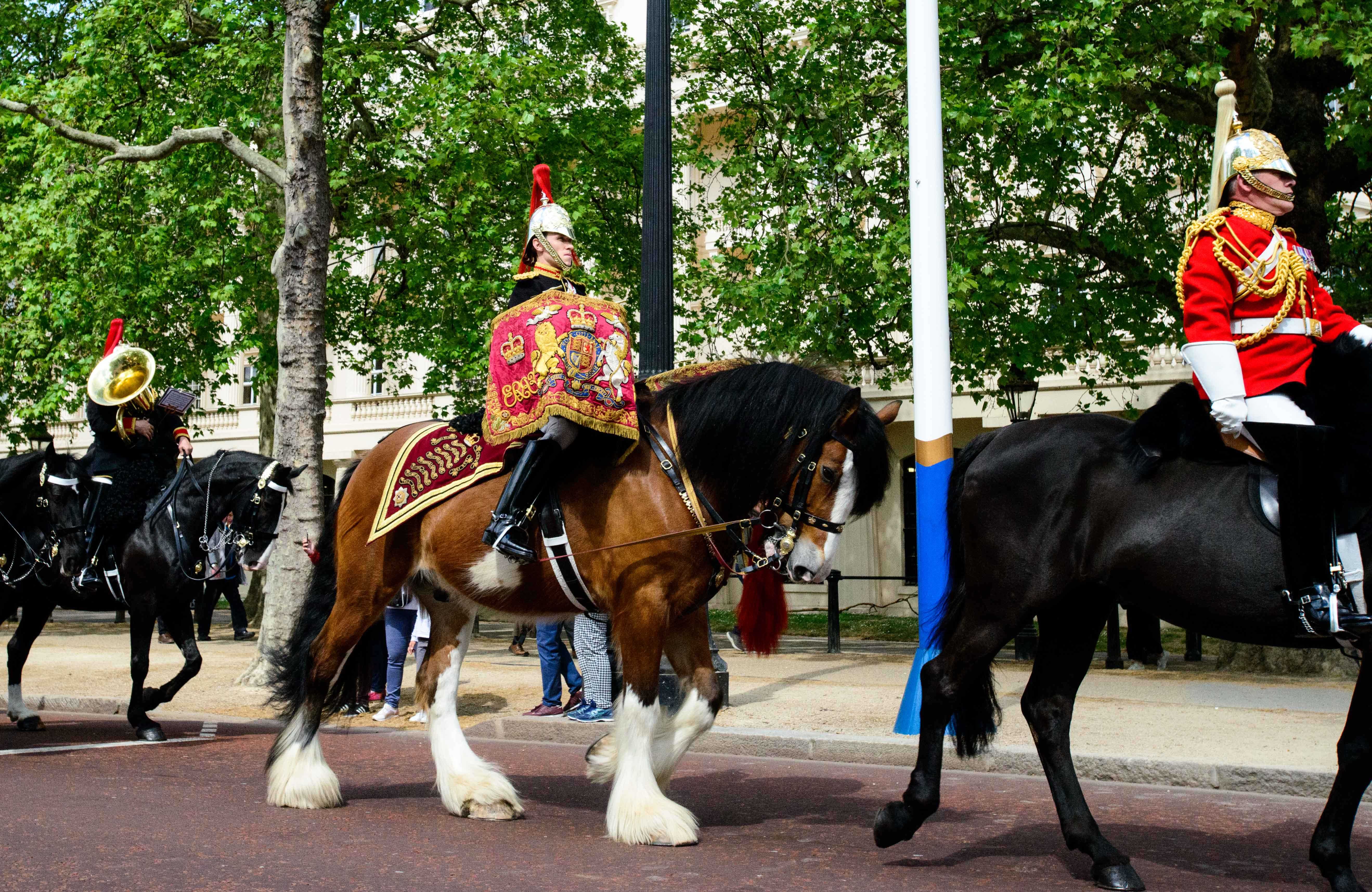 Mounted Band of the Household Cavalry Mount Queen's Life Guard in rare