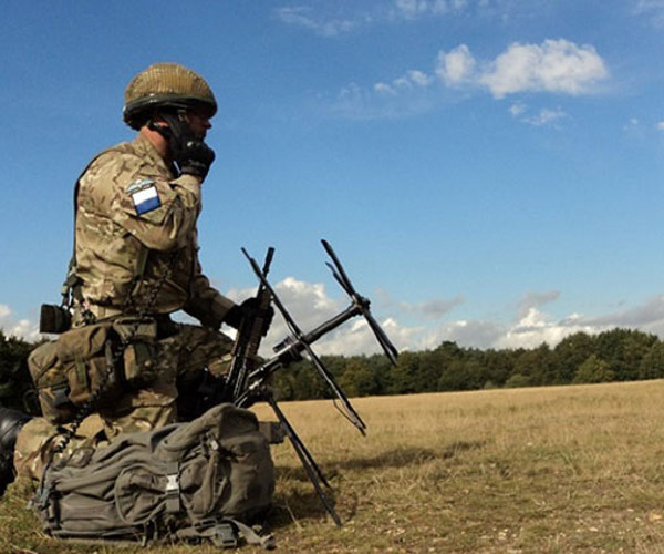 Army Stem 4.jpg