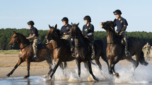 ktrhahorses 2 0402ed.jpg
