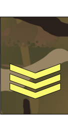 Is sergeant a high rank in the army? Is sergeant a high rank in the army?