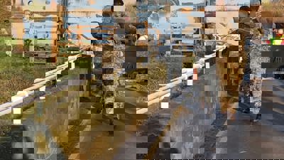 892a8ce8-b6d8-4161-9699-f49369ab81e4.jpg