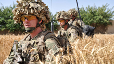 45155497.jpg
