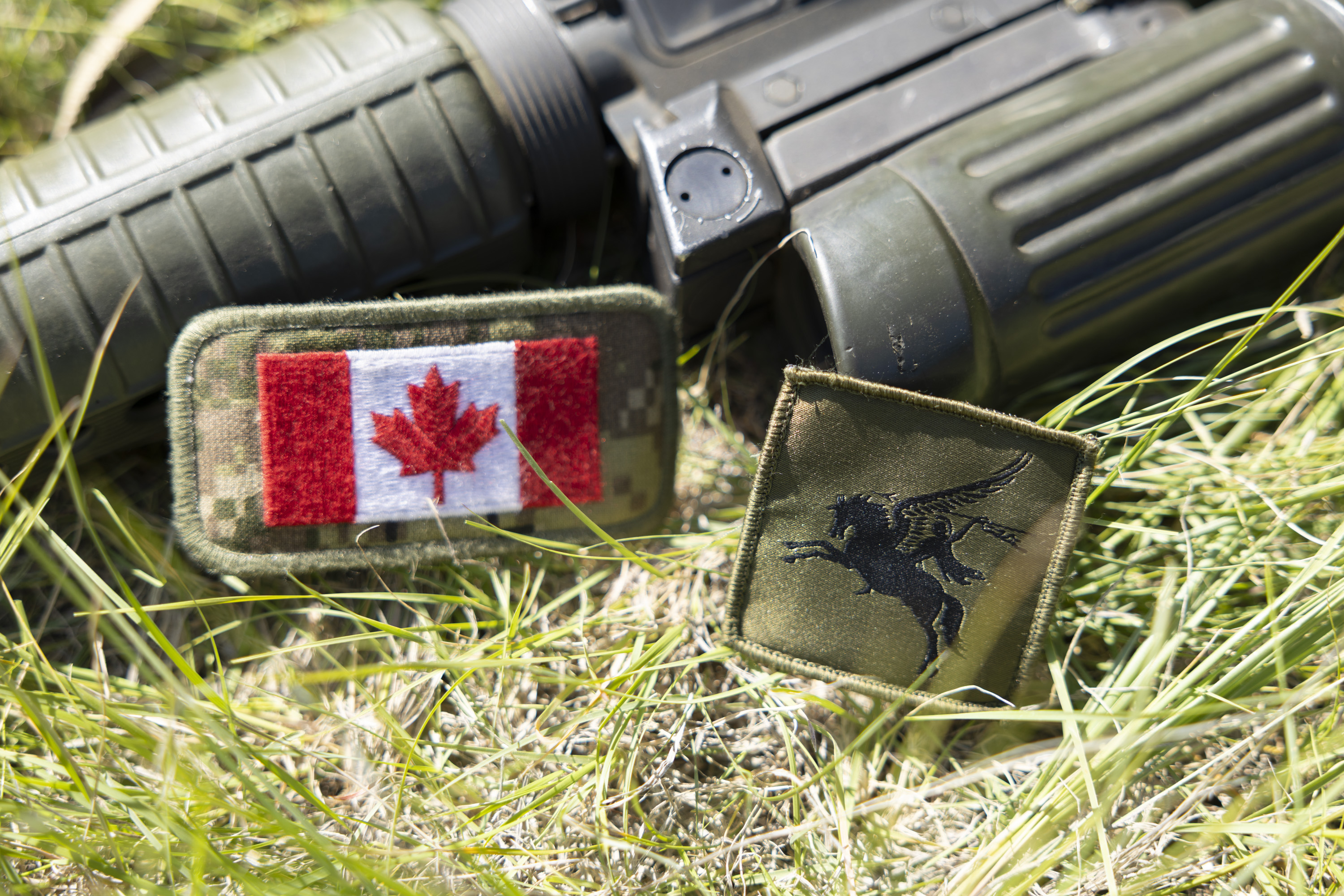 A firearm lies on grass alongside two patches. One patch displays the Canadian flag, and the other shows a black Pegasus design on a green background.