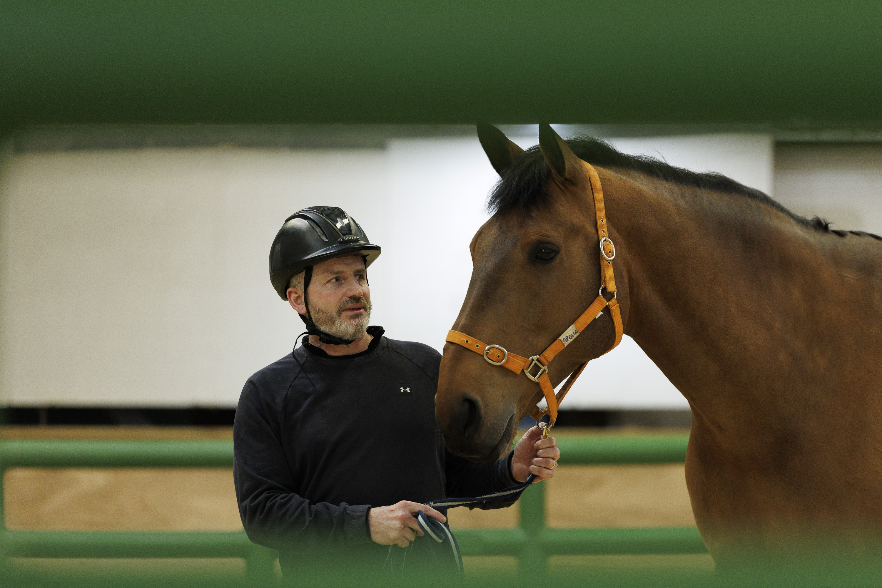 A person wearing a helmet is standing beside a brown horse, holding its lead. The horse is wearing an orange halter.
