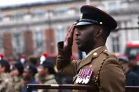 A soldier stands saluting in brown ceremonial uniform.