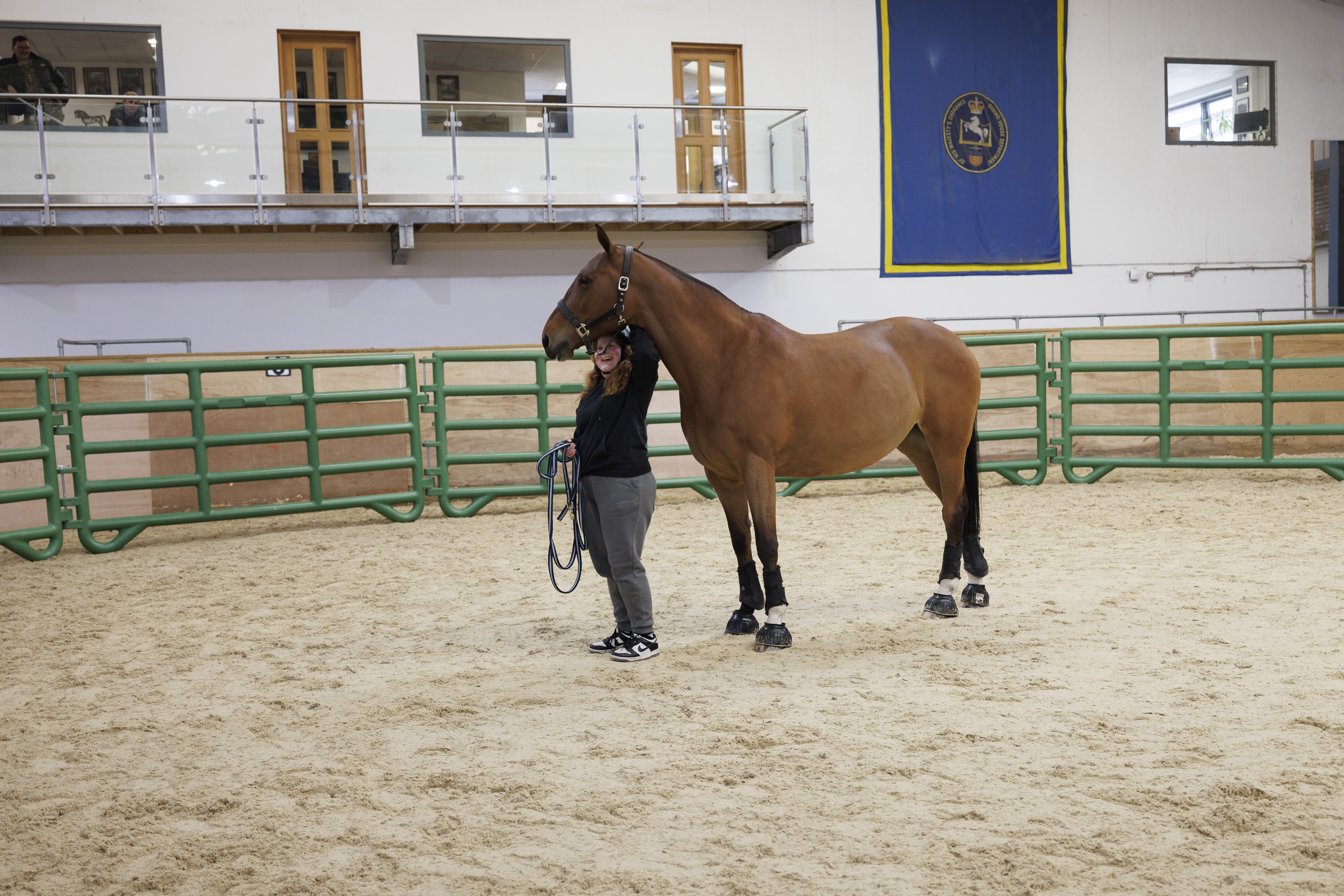 A person standing beside a brown horse in an indoor arena. The area is surrounded by green fencing.