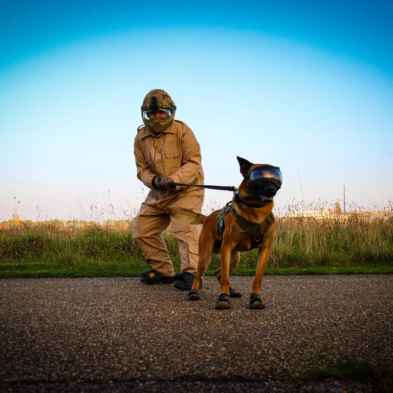 A military working dog handler and a MWD in crowd control PPE