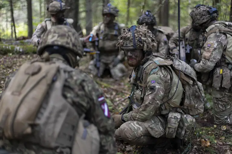 Seven soldiers including British and multi national soldiers planning a strike on Exercise Tarassis in the woodlands. They are all wearing camouflage uniform, helmet, body armour and carry their rifles.