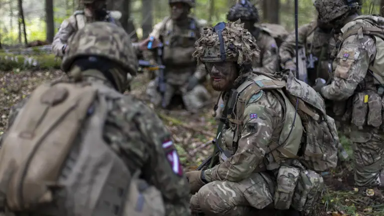 Seven soldiers including British and multi national soldiers planning a strike on Exercise Tarassis in the woodlands. They are all wearing camouflage uniform, helmet, body armour and carry their rifles.