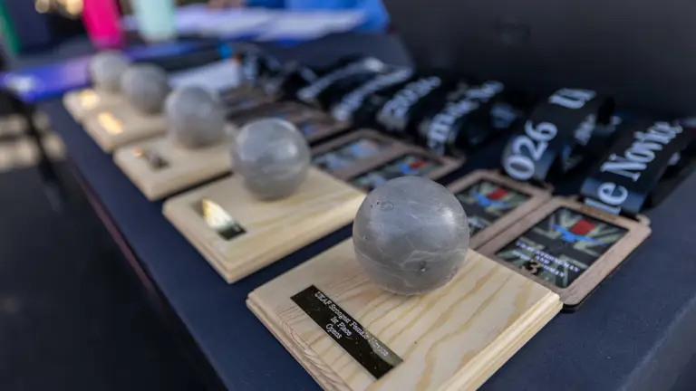 Trophies with round grey stones on wooden bases and engraved plaques are lined up on a table, along with black lanyards and cards.