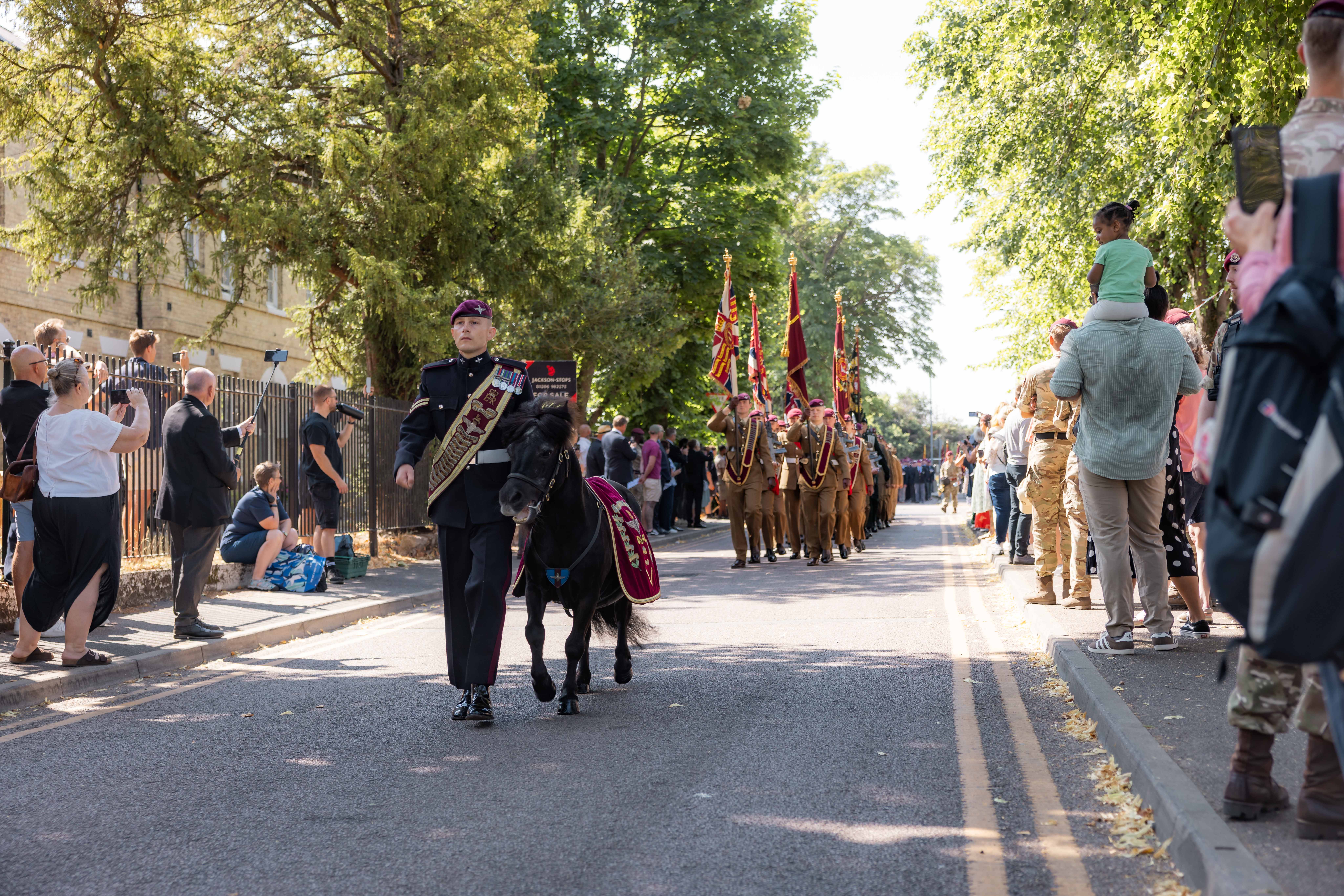 Parade on a tree-lined street with an individual leading a small black horse. Behind them, a group of uniformed people march, carrying colorful flags. Spectators are gathered along the sides of the street, with some standing and others seated or holding children.