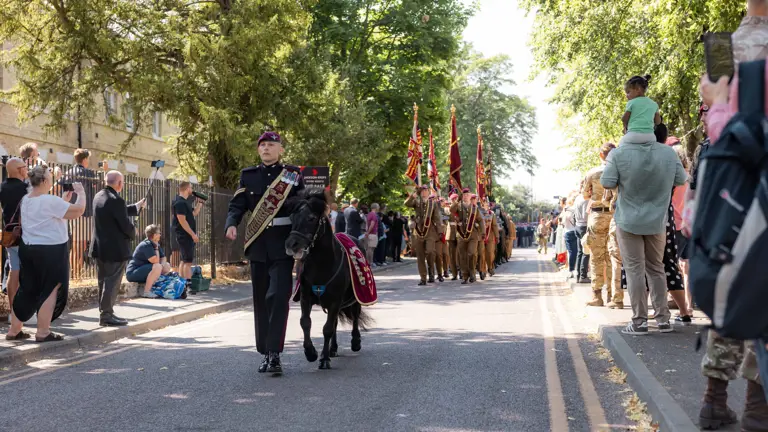 Parade on a tree-lined street with an individual leading a small black horse. Behind them, a group of uniformed people march, carrying colorful flags. Spectators are gathered along the sides of the street, with some standing and others seated or holding children.