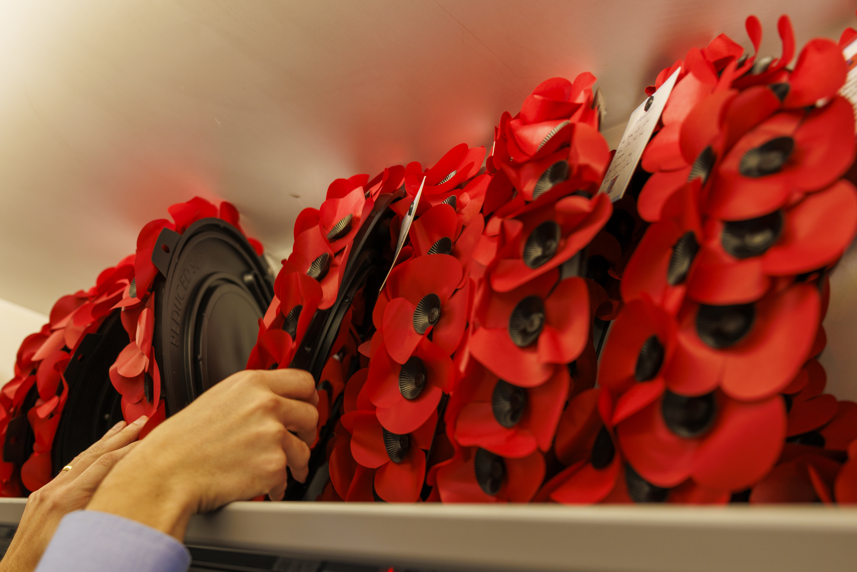 Poppy wreaths sit on a train, a person wearing a blue long sleeved shirt is ensuring they are all stood upright.