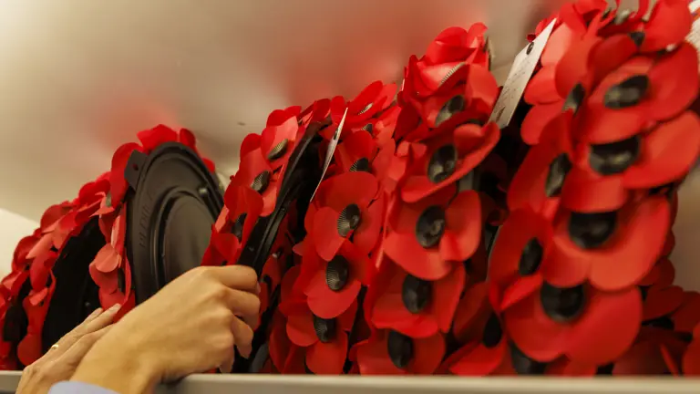 Poppy wreaths sit on a train, a person wearing a blue long sleeved shirt is ensuring they are all stood upright.
