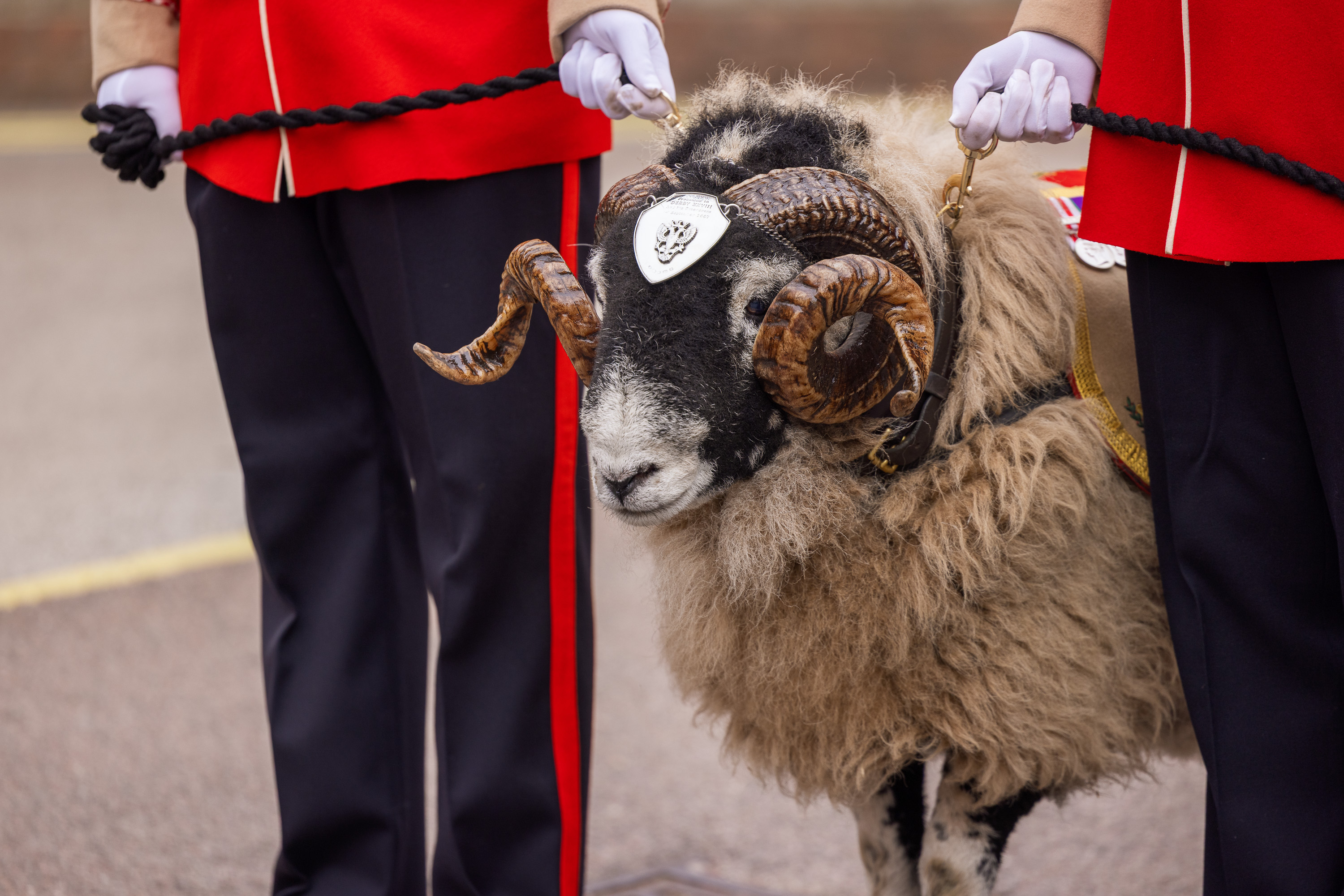 Two handlers in red ceremonial uniform holding rope leads on the sheet mascot.  