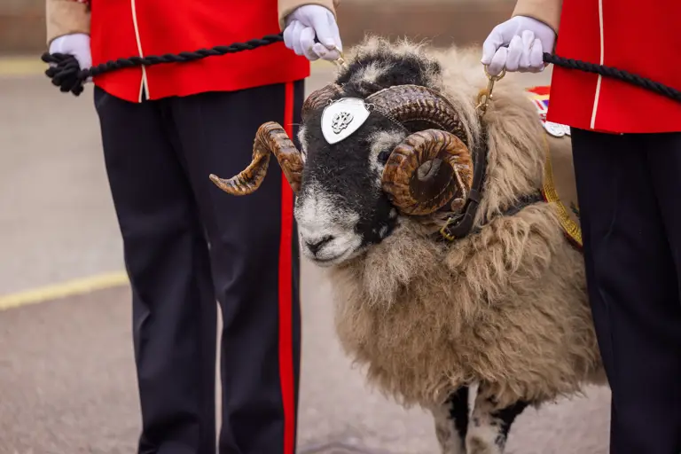 Two handlers in red ceremonial uniform holding rope leads on the sheet mascot.