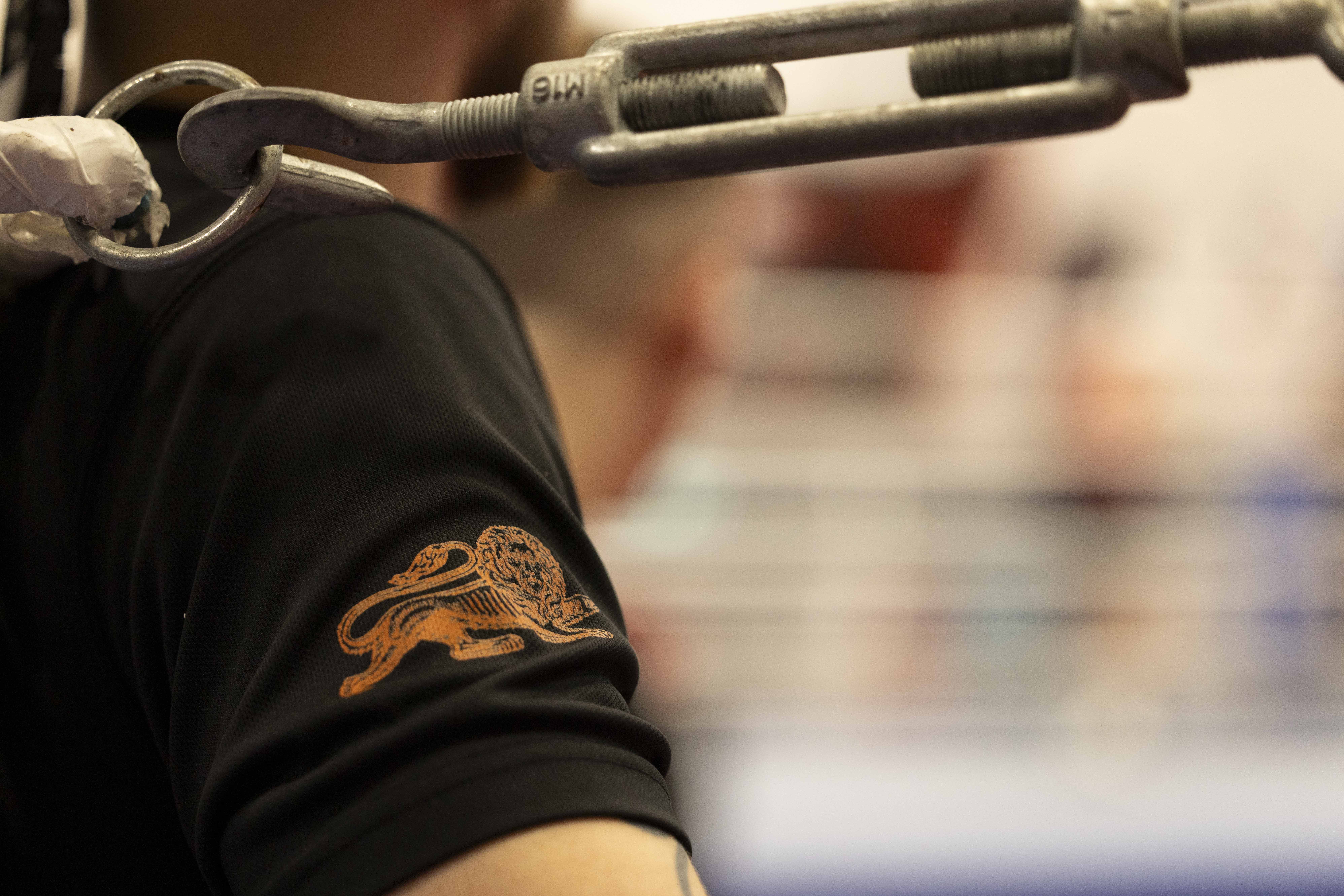 A close up of a bronze lion printed onto black shorts.