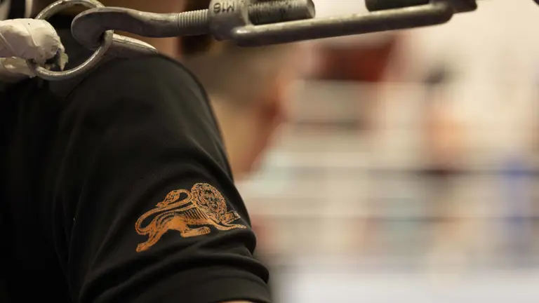 A close up of a bronze lion printed onto black shorts.