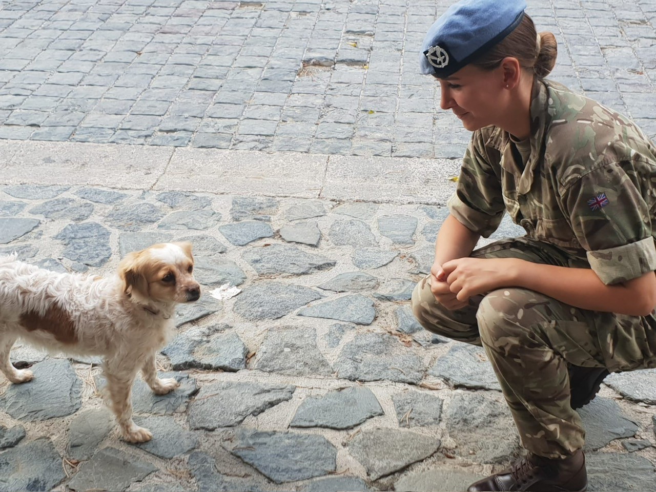 A military personnel in a camouflage uniform and blue beret crouches on a cobbled street, smiling at a small, fluffy dog standing nearby.