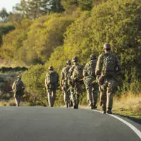A group of soldiers in camouflage walks along a winding road amid lush, sunlit greenery.