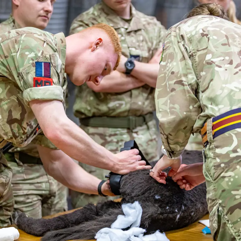 1st Military Working Dog Regiment | The British Army