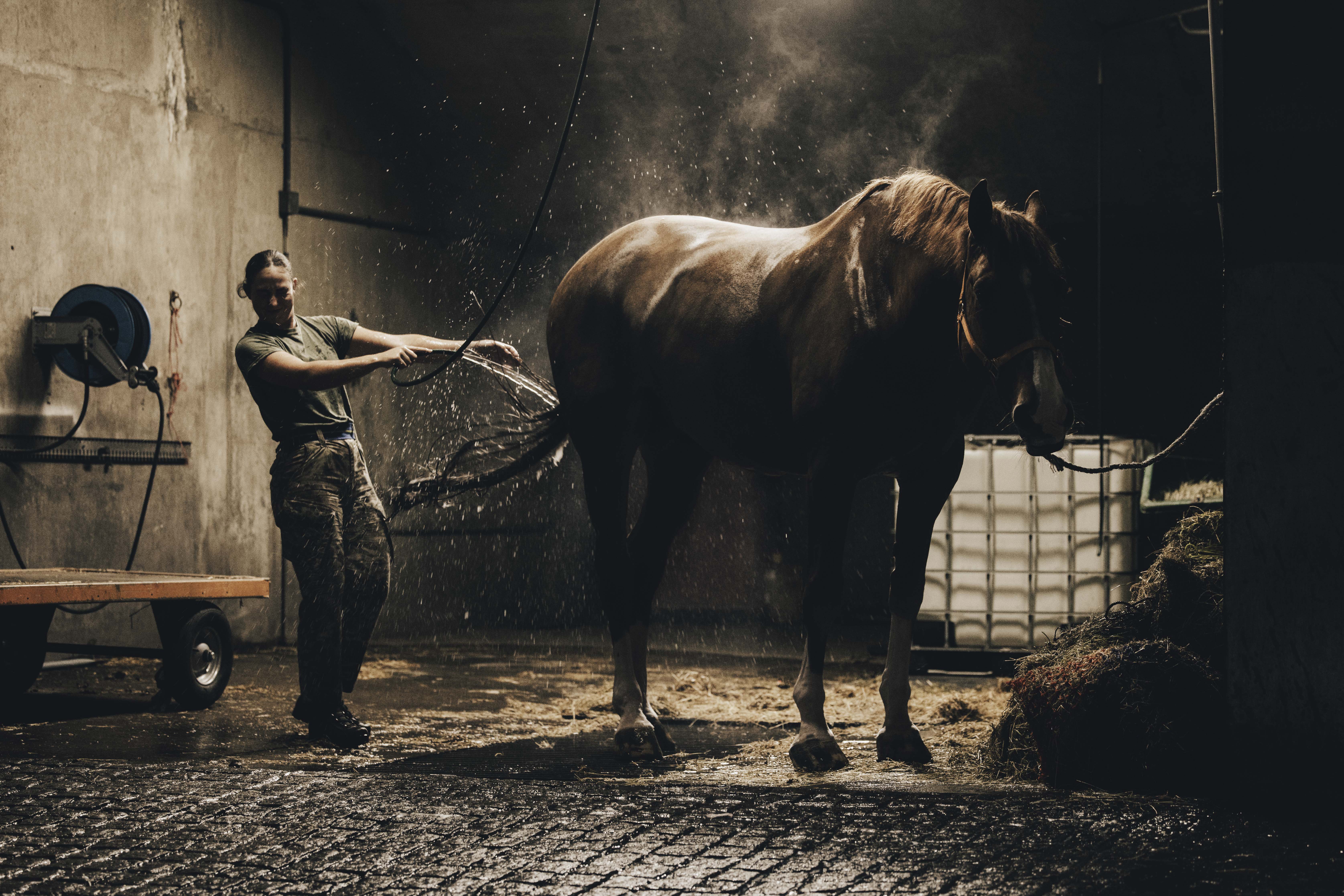 Female soldier washing down her horse and getting splashed back with water.