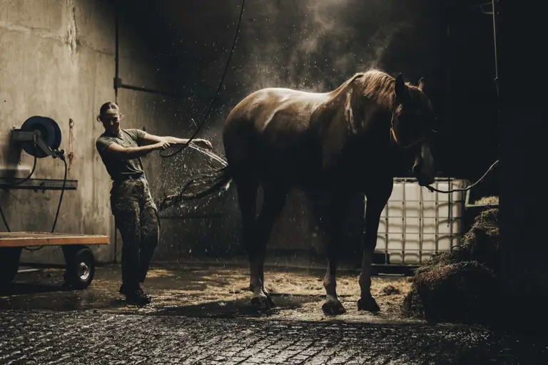 Female soldier washing down her horse and getting splashed back with water.